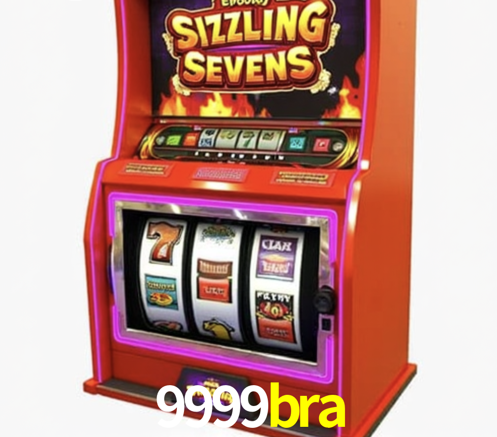Security Systems 9999bra